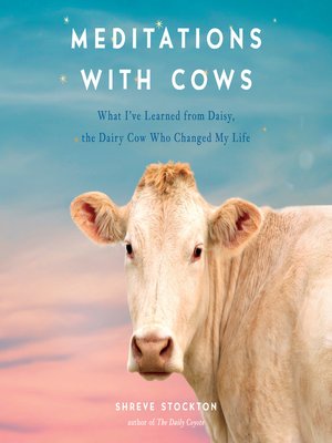 cover image of Meditations with Cows